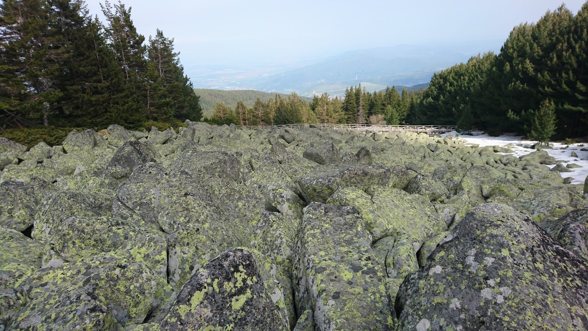 Bulgaria.JPG