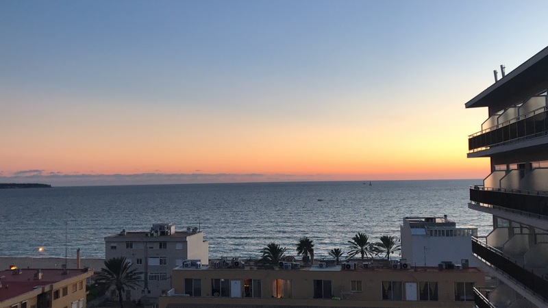 _palma.JPG