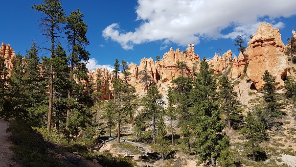 20170921_231805.jpg