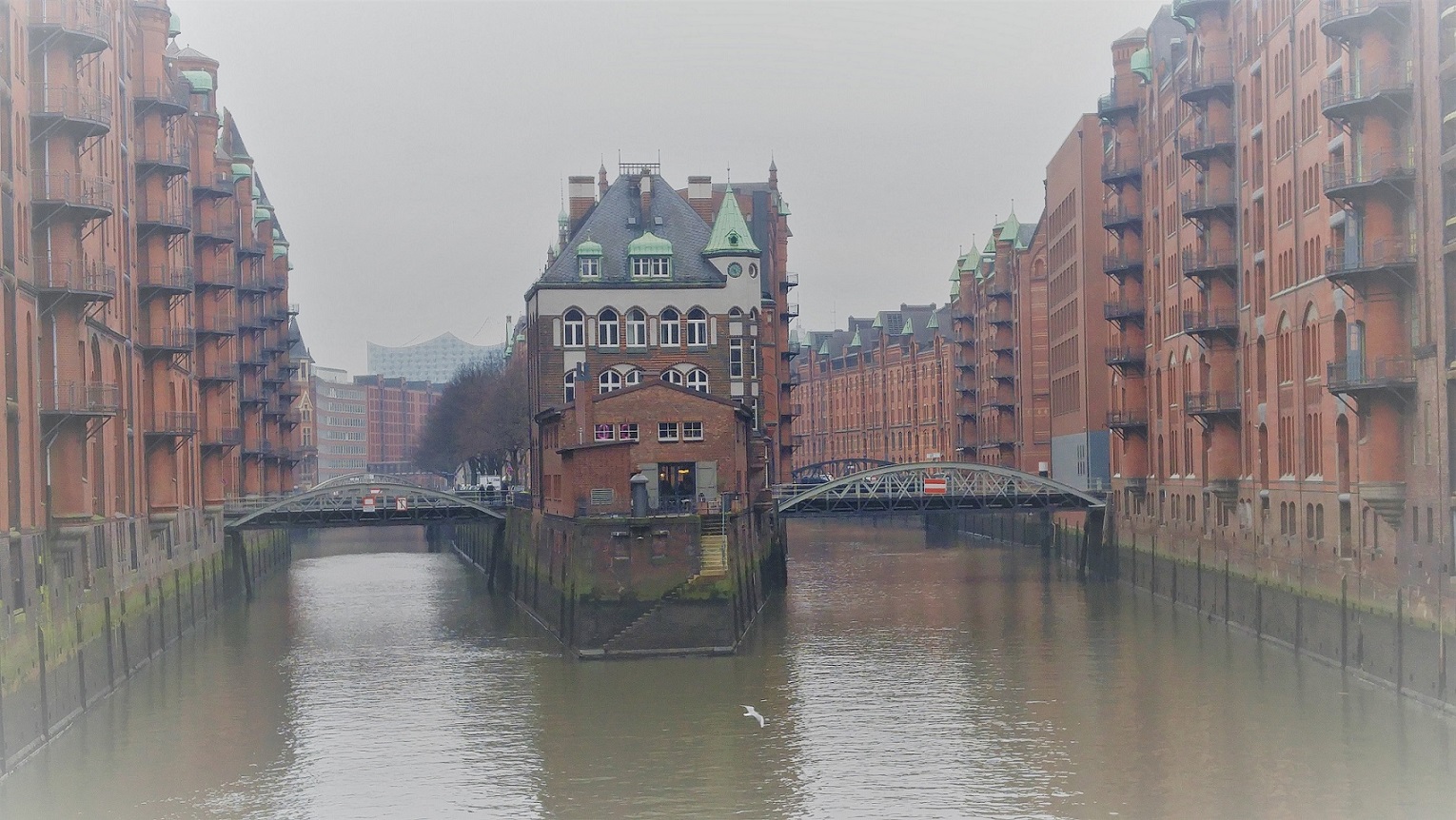 20170121_134835.jpg