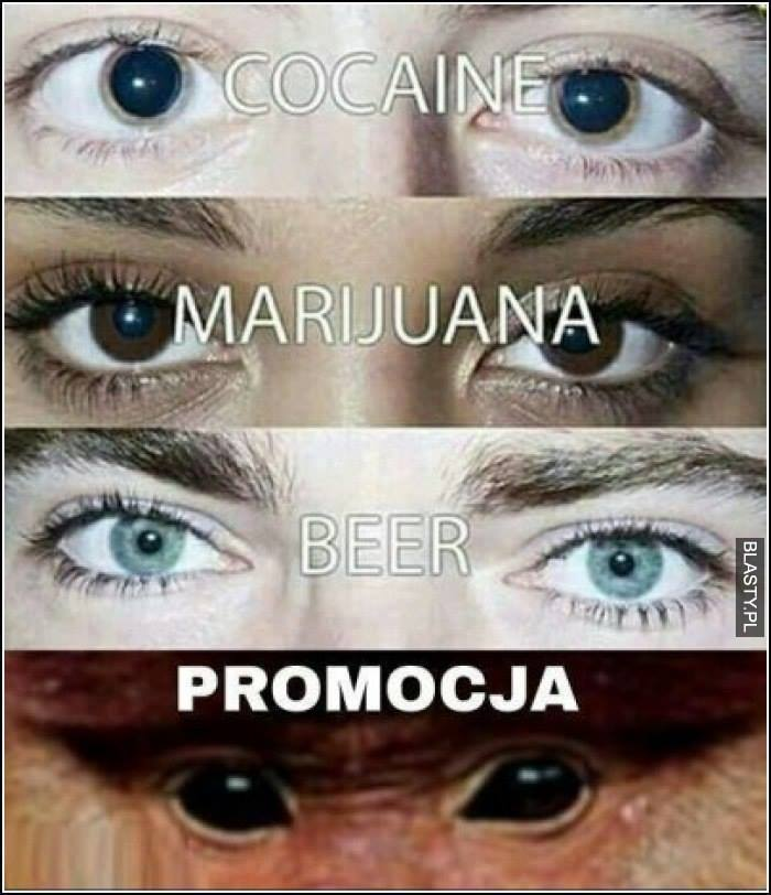 promocja.png