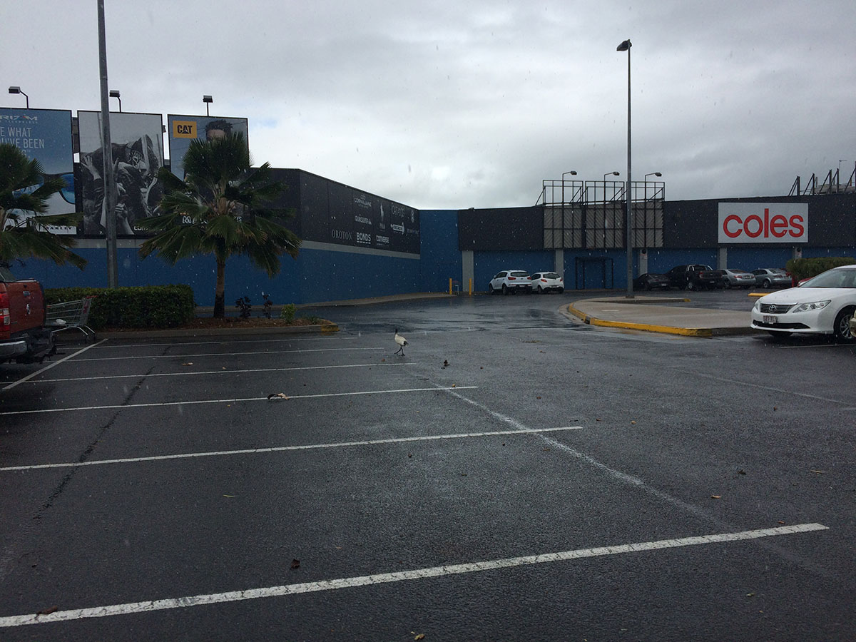 IMG46.JPG
