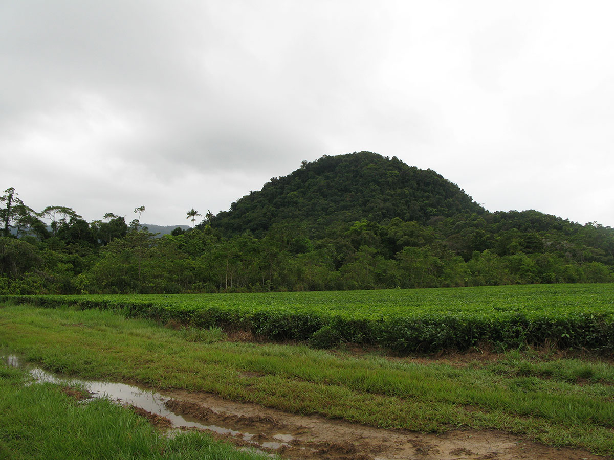 IMG50.JPG