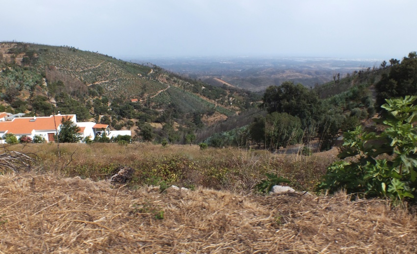DSCF7325.jpg