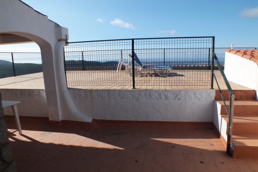DSCF7355.jpg