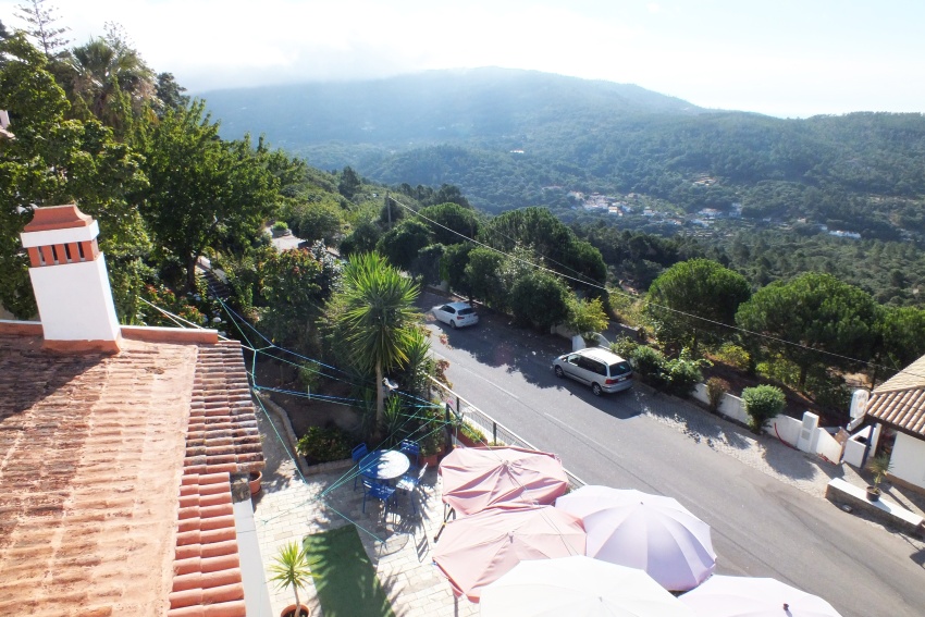 DSCF7363.jpg