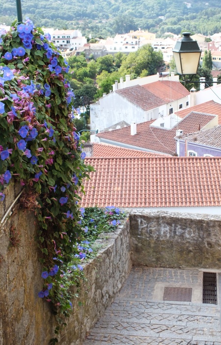 DSCF7393.jpg