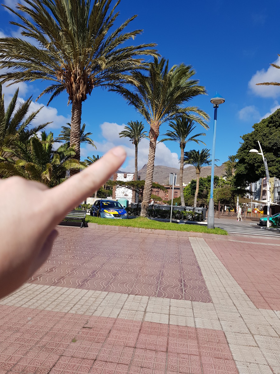 palma.jpg