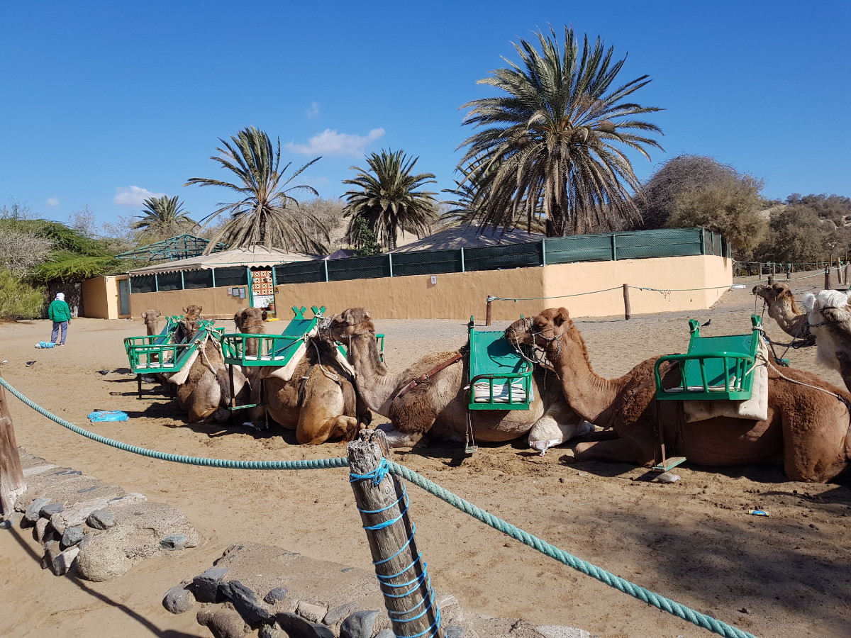 maspalomas1.jpg