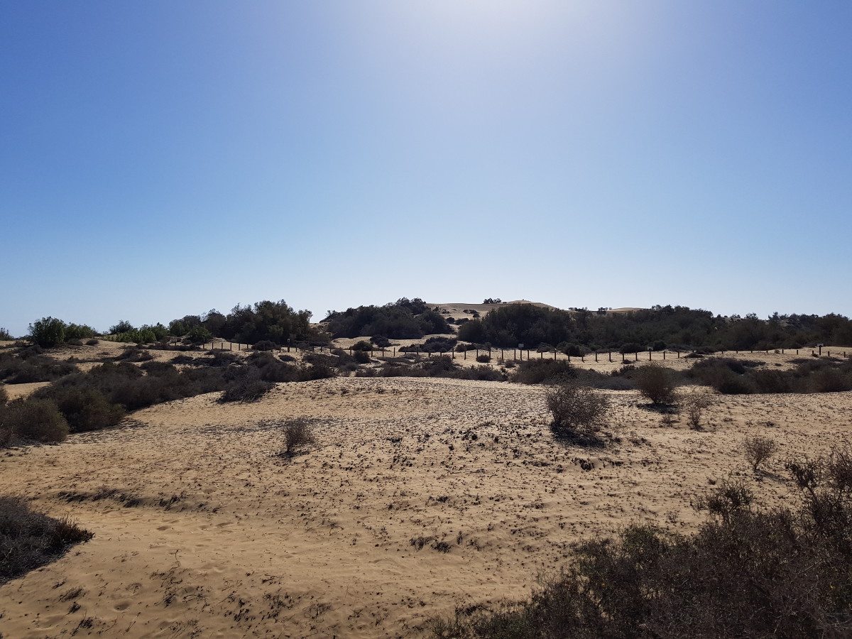 maspalomas2.jpg