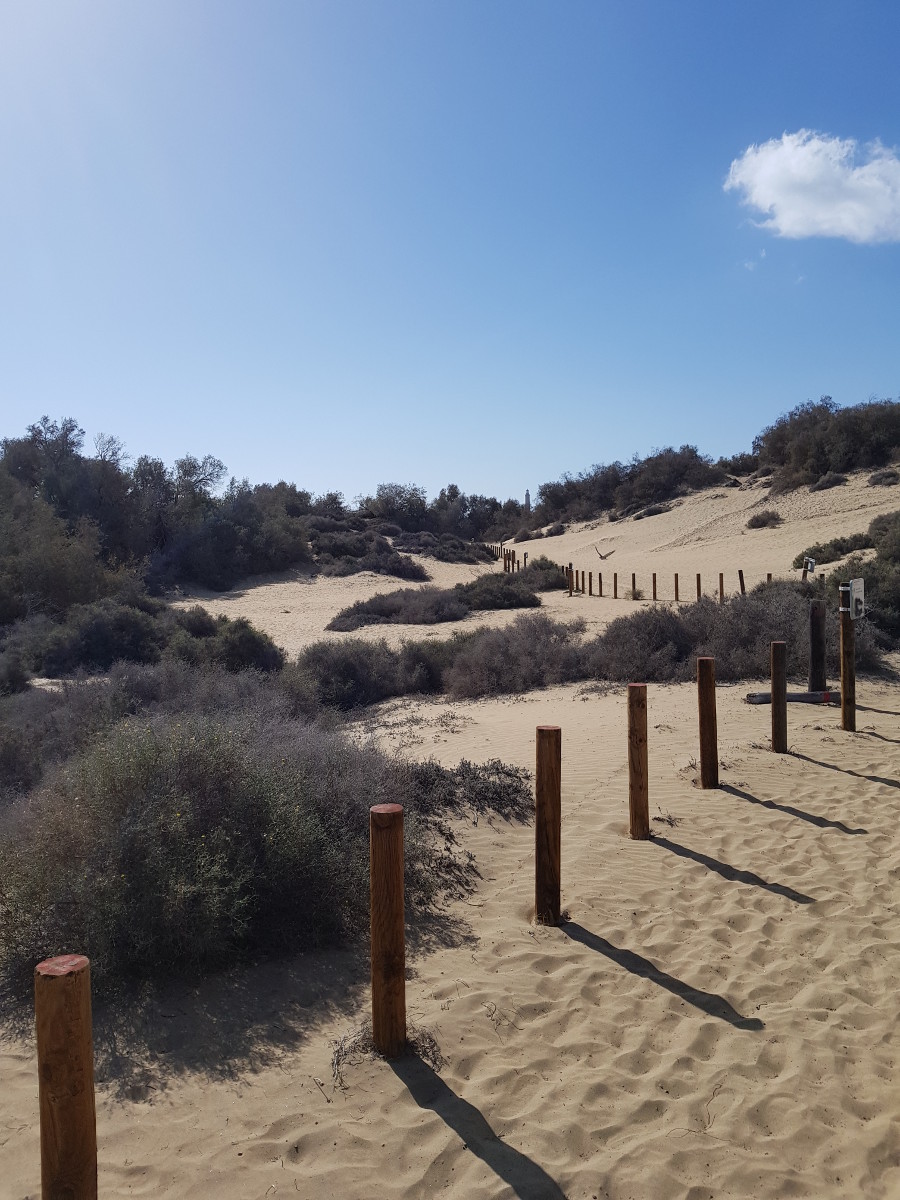 maspalomas3.jpg