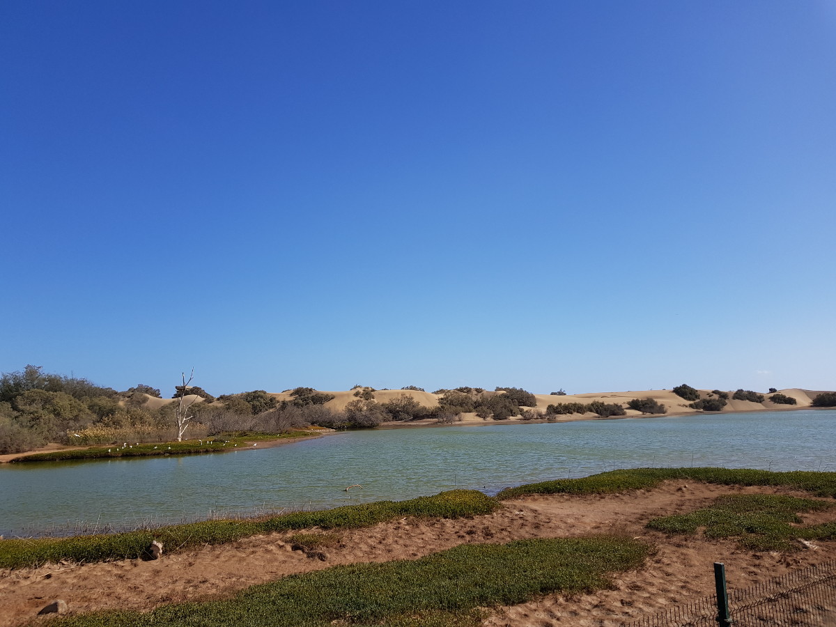 maspalomas4.jpg