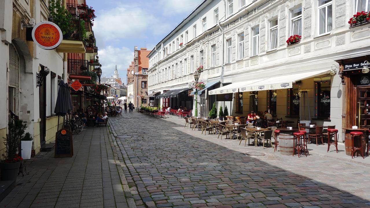 DSC08260.jpg