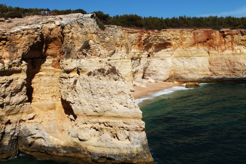 DSCF7513.jpg