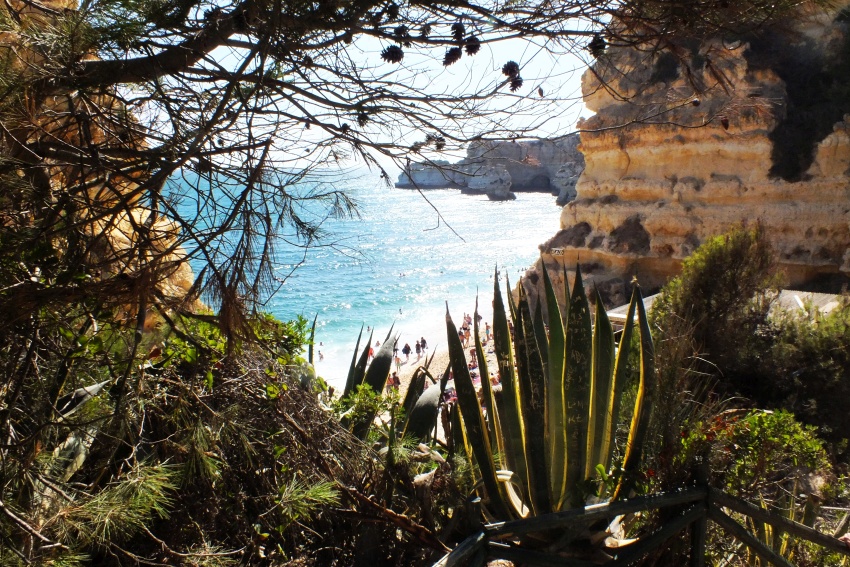 DSCF7518.jpg