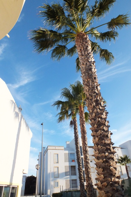 DSCF7543.jpg