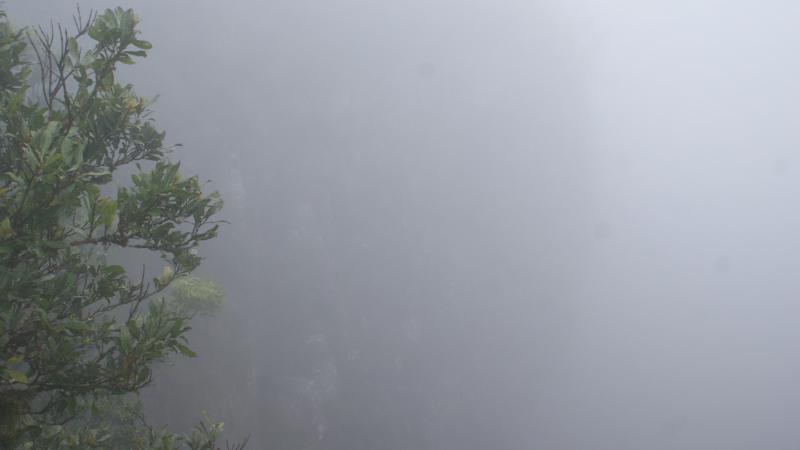 DSC07787.JPG