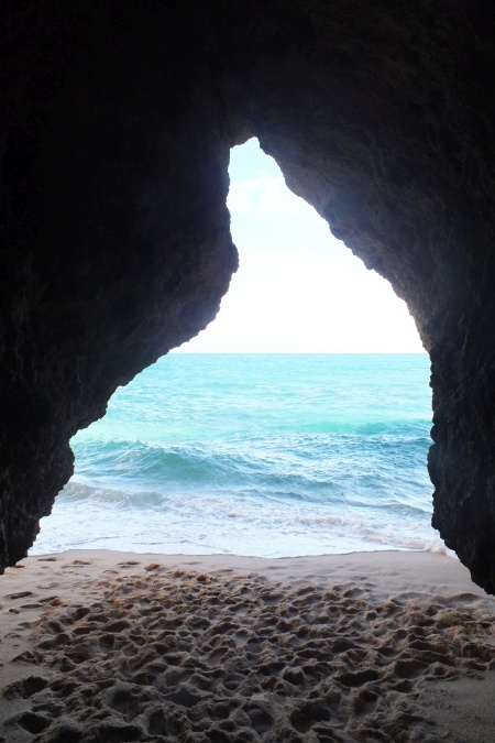 DSCF7536.jpg