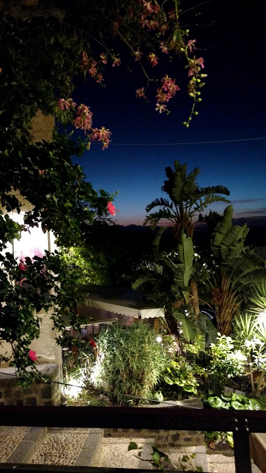 cefalu palma.jpg