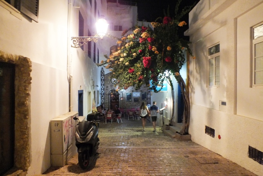 DSCF7588.jpg