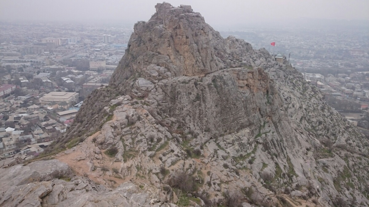 DSC_0447.jpg
