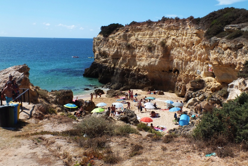 DSCF7590.jpg