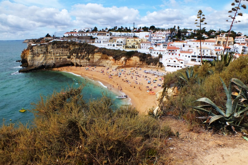DSCF7615.jpg