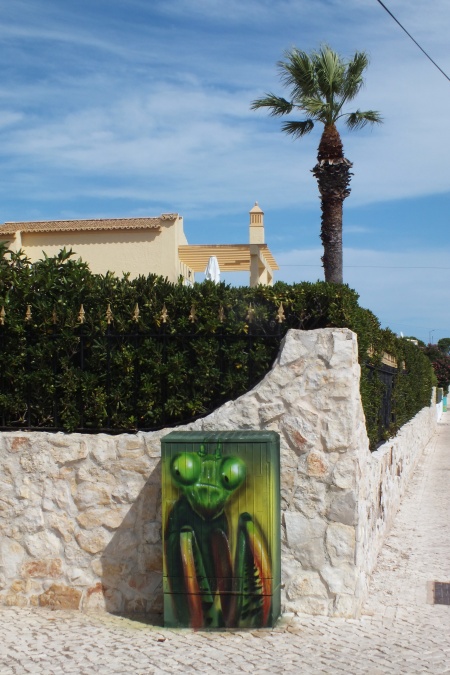 DSCF7639.jpg