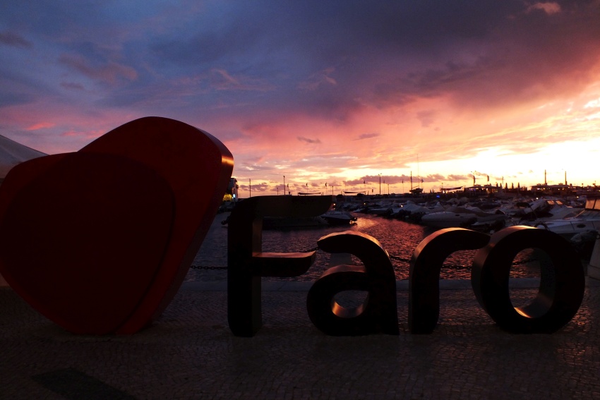 DSCF7648.jpg