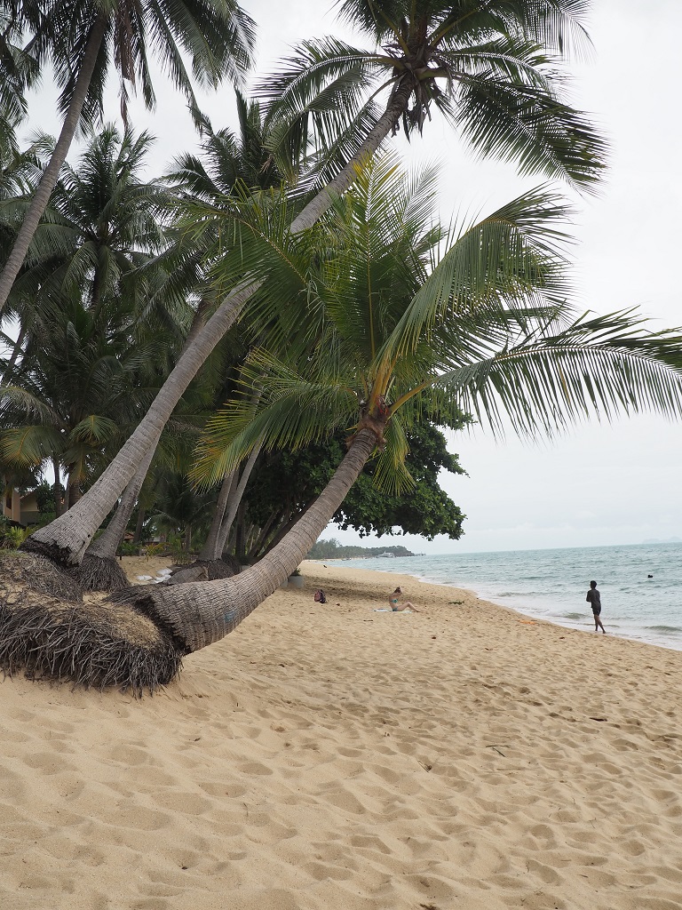 lipiec2.JPG