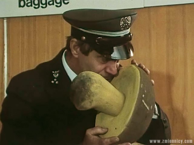 grzyby_1.jpg
