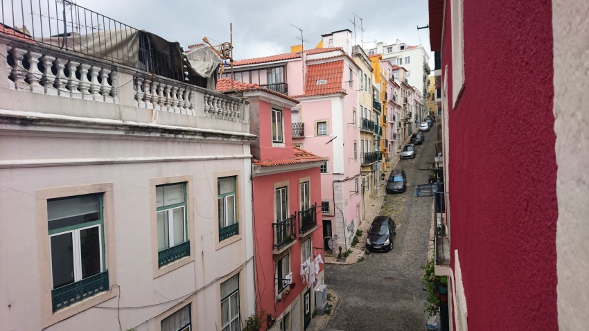 DSC_3113.jpg