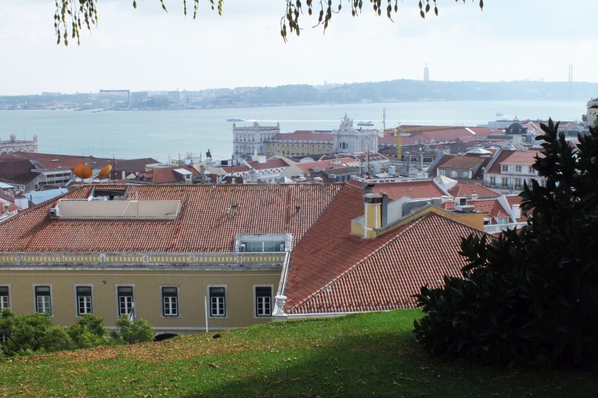 DSCF7754.jpg