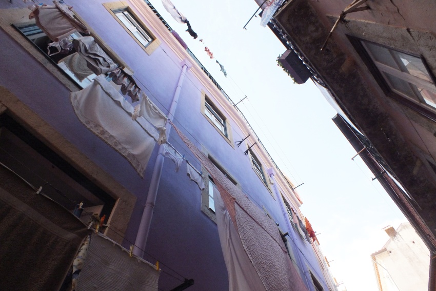 DSCF7763.jpg