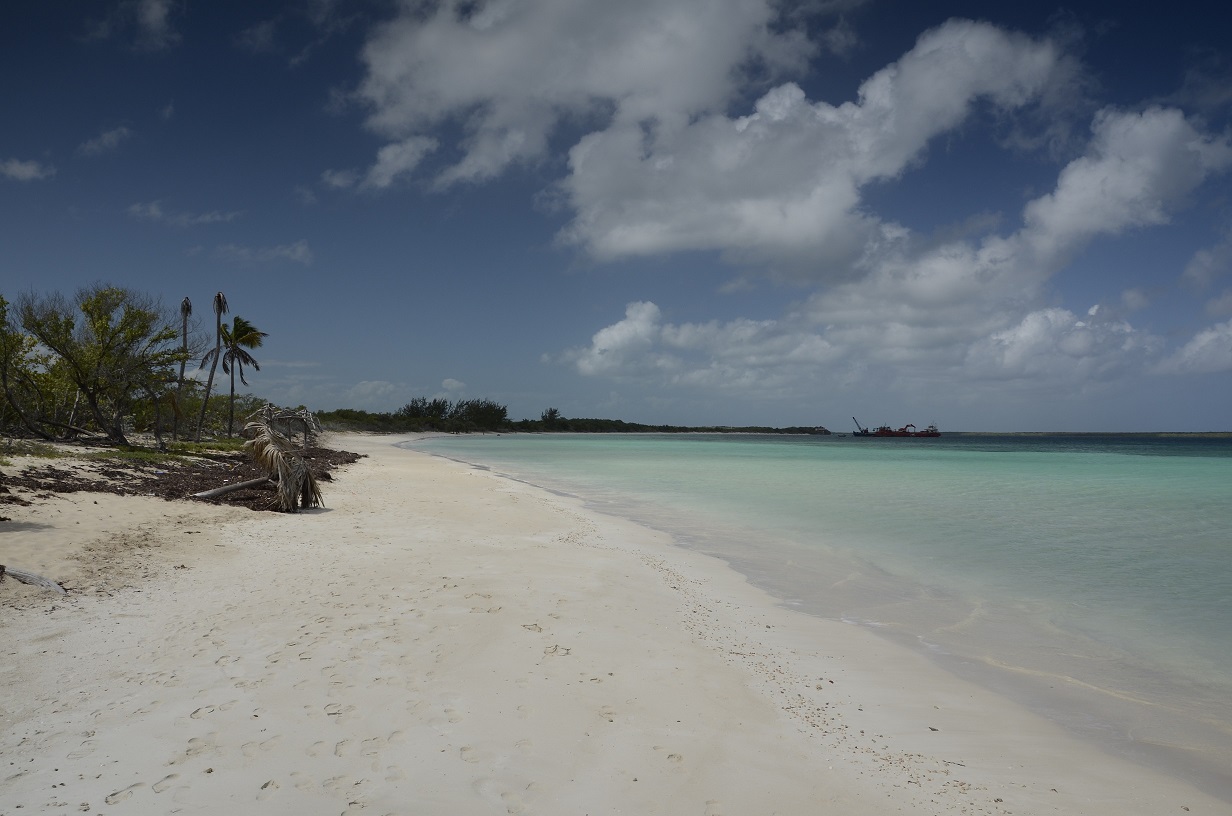 _DSC4600a.jpg