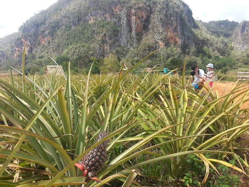 20150302_120147q.jpg