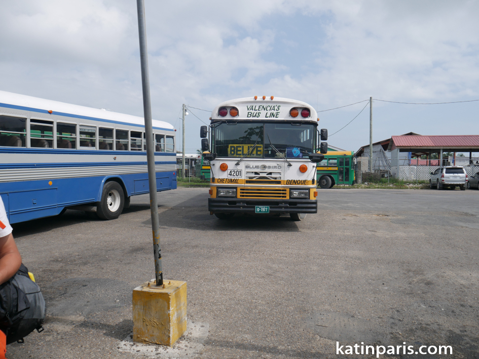 belize (10 of 25).jpg