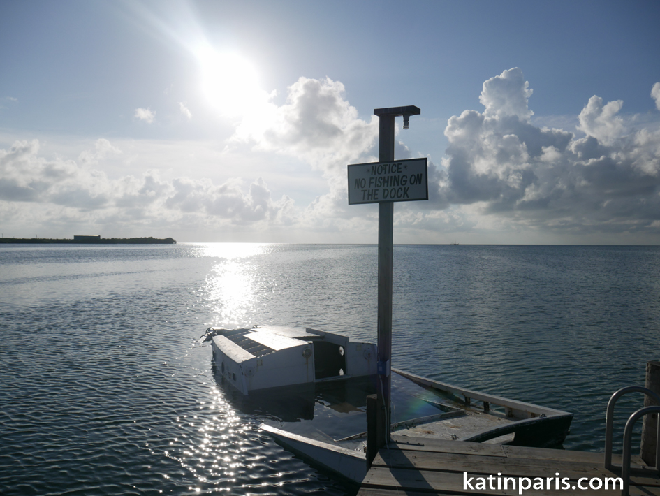 belize (18 of 25).jpg