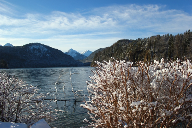 IMG_5022 - Alpsee, Germany - 29 gru 2017, godz. 15.08.JPG