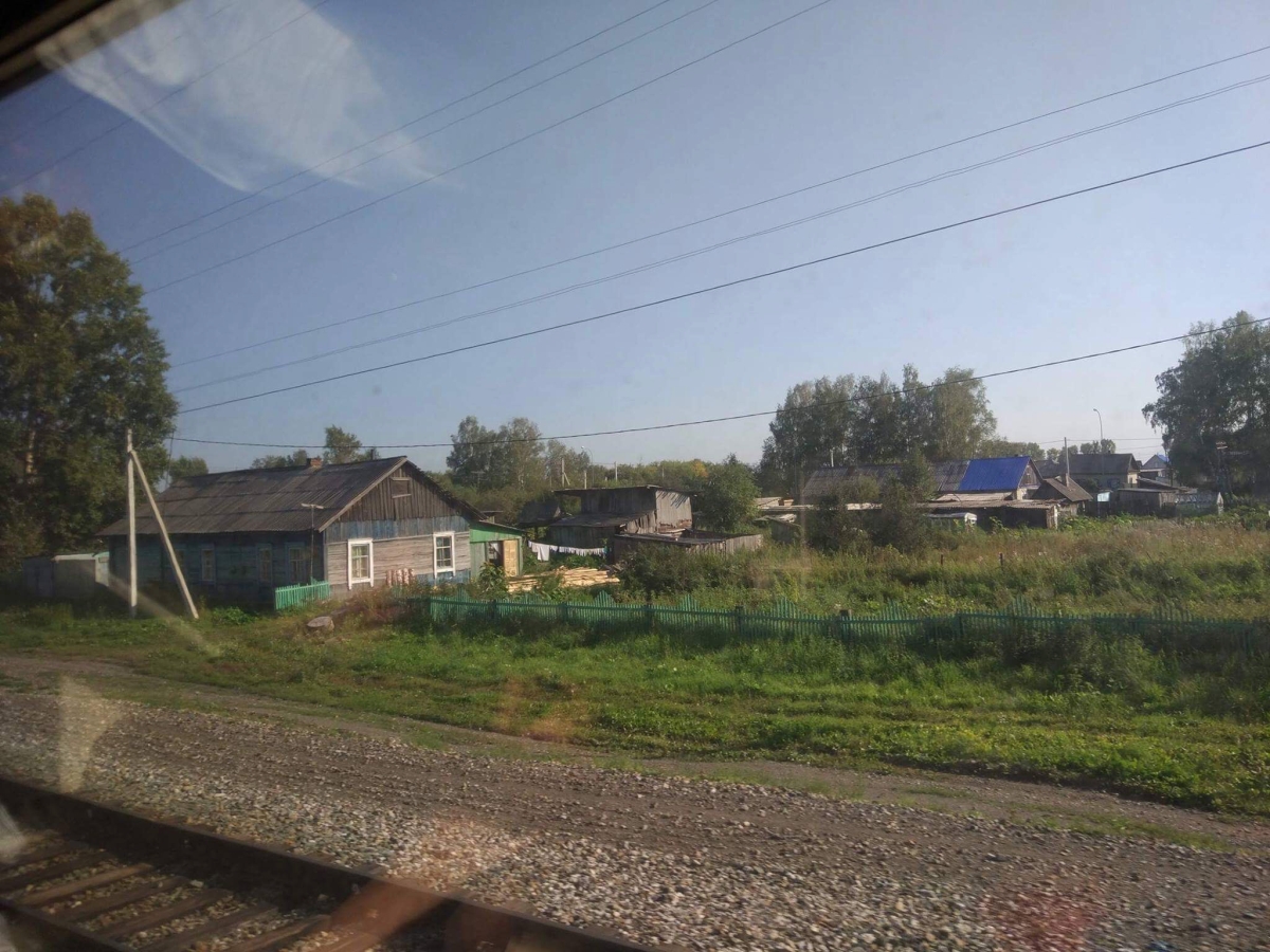 233.jpg