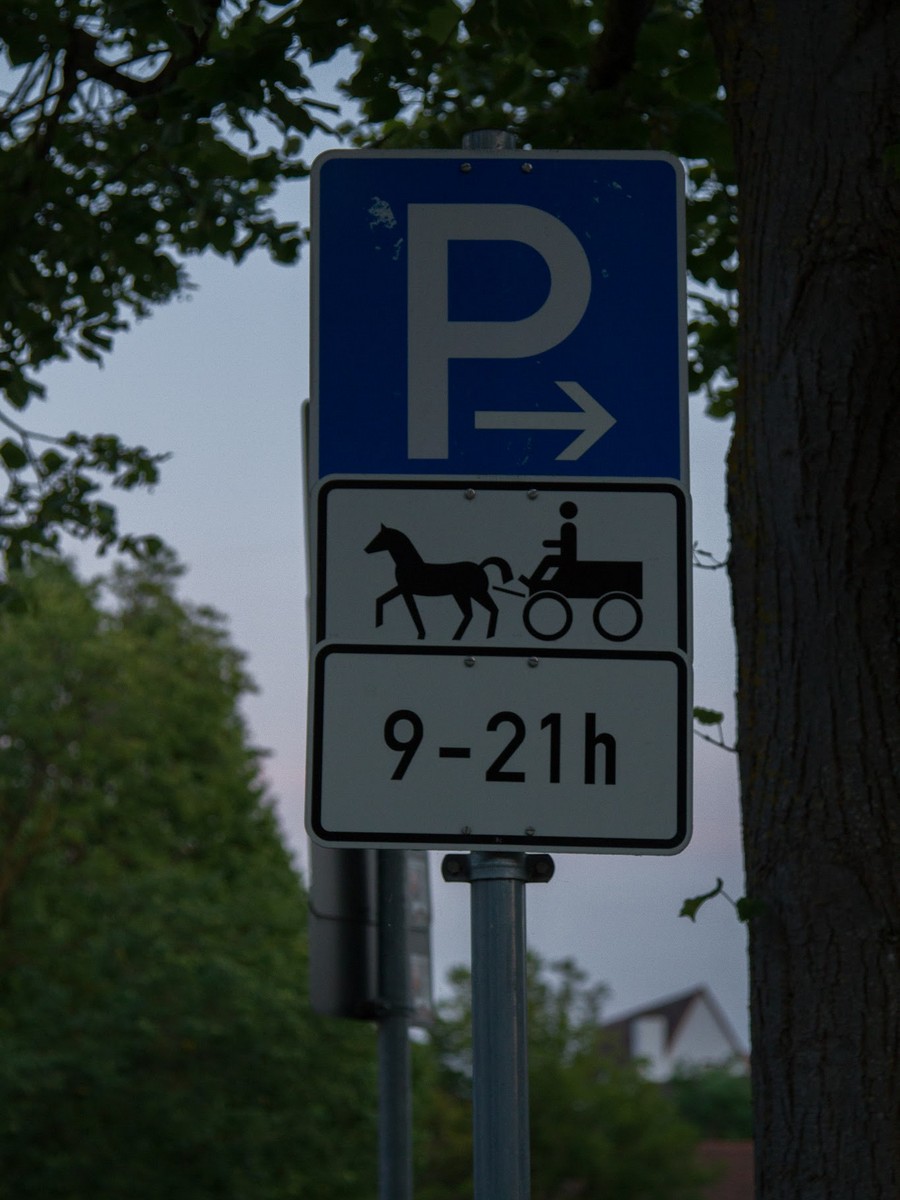 roth18.jpg