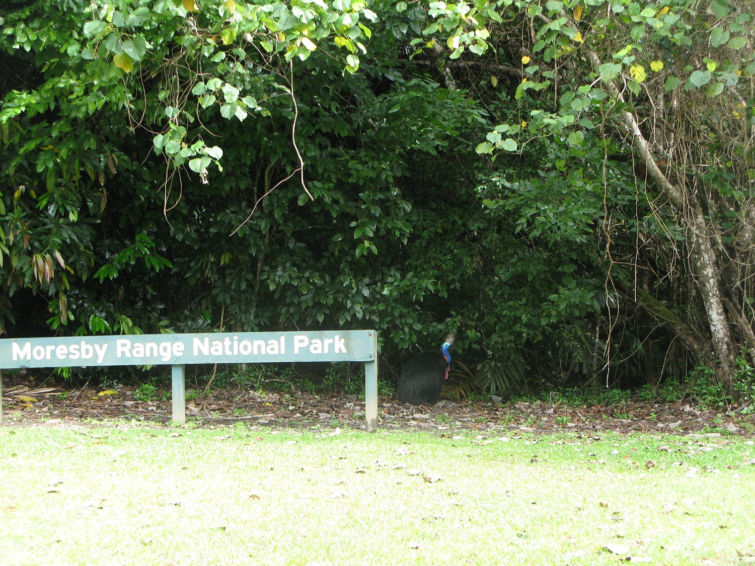 IMG71.JPG