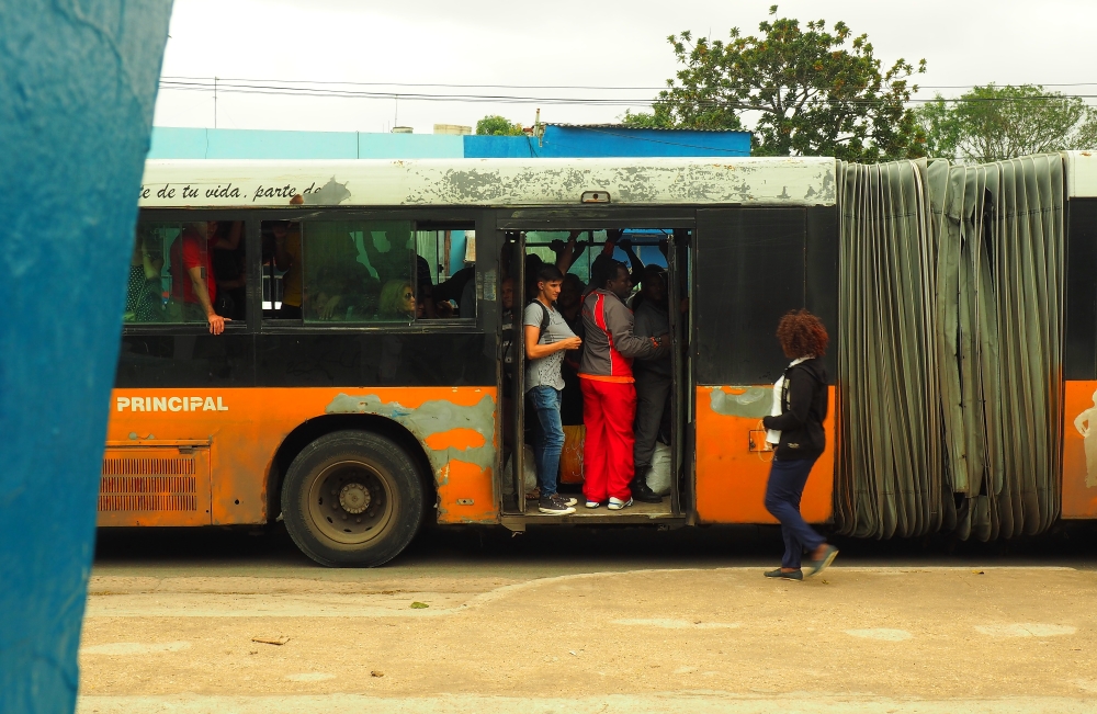 P1267934.JPG