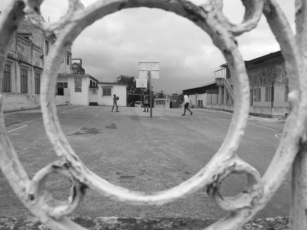 P1267992.JPG