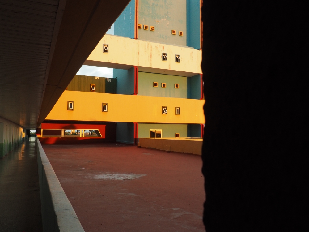 P1227575.JPG