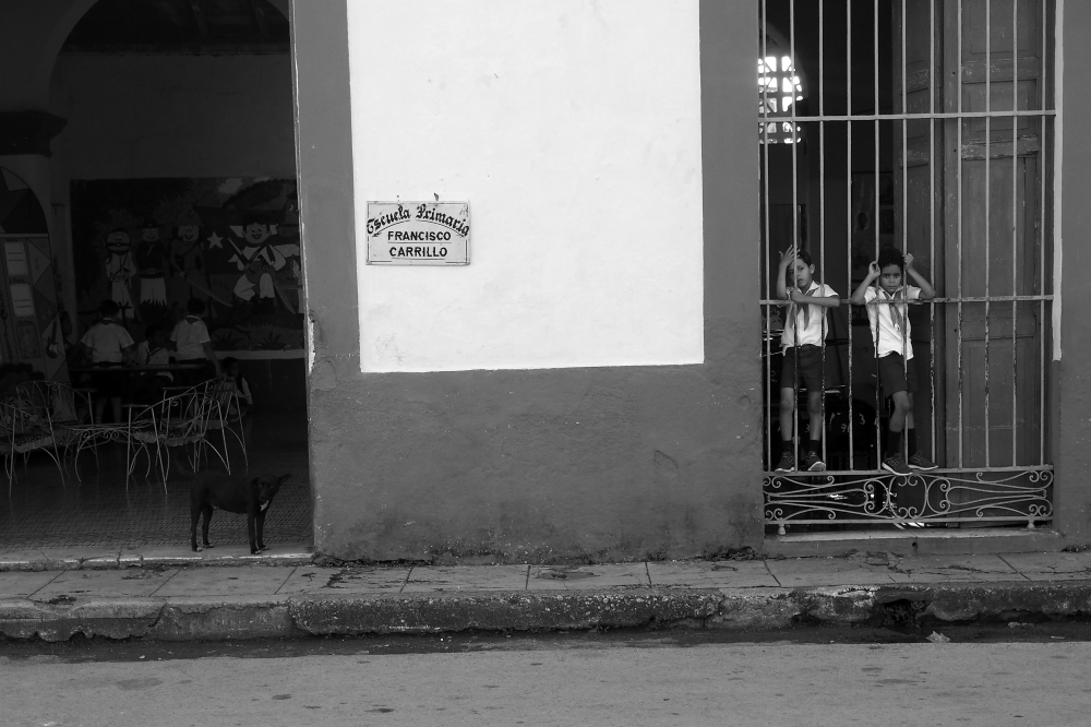 P1237759.JPG