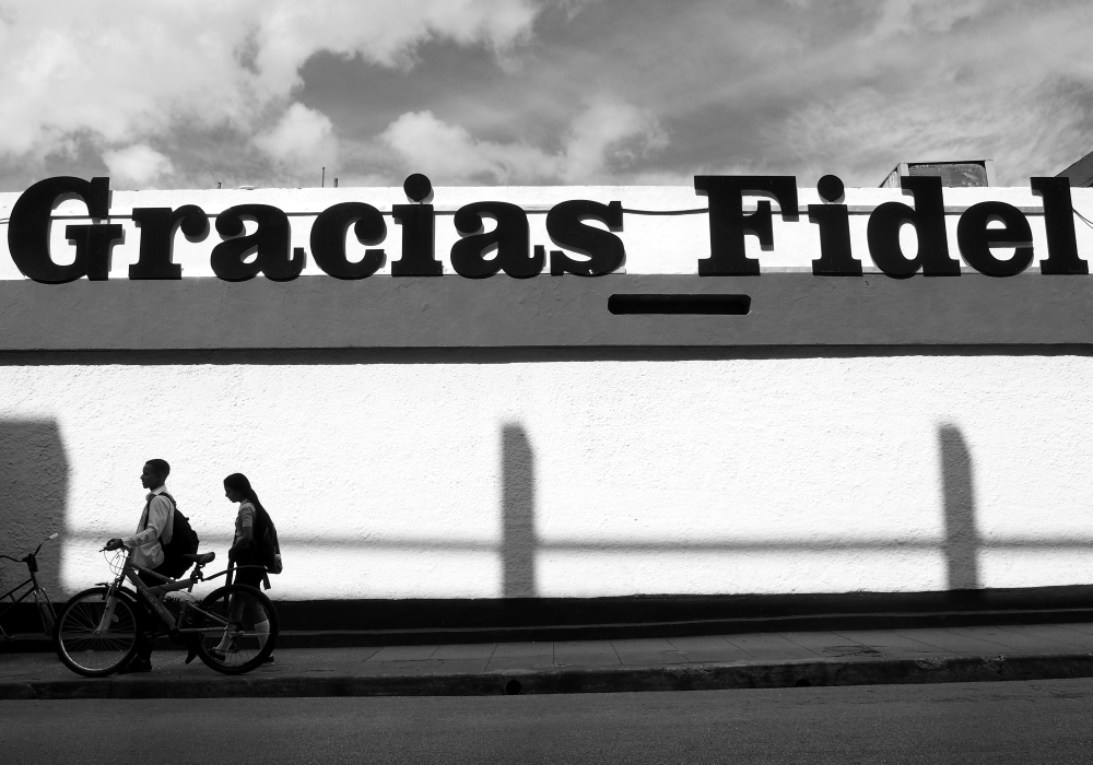 P1247853.JPG