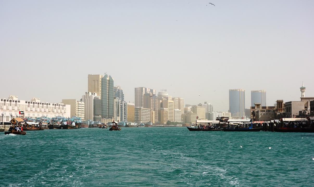 DSC00700.jpg