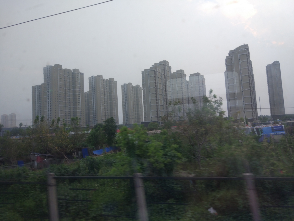 497.jpg