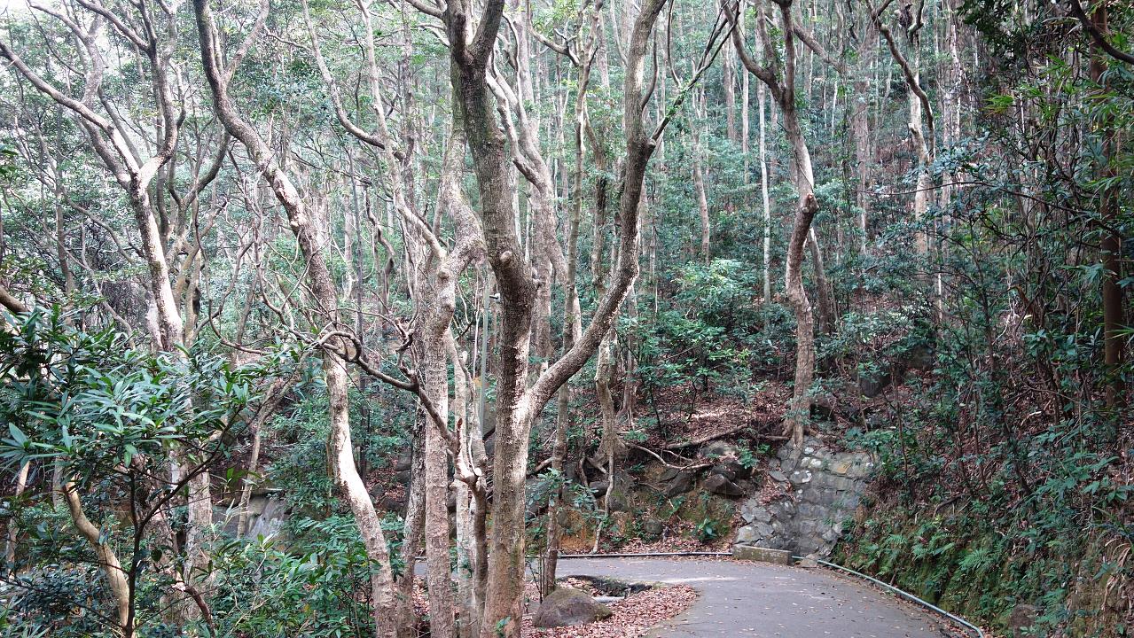 DSC00793.jpg